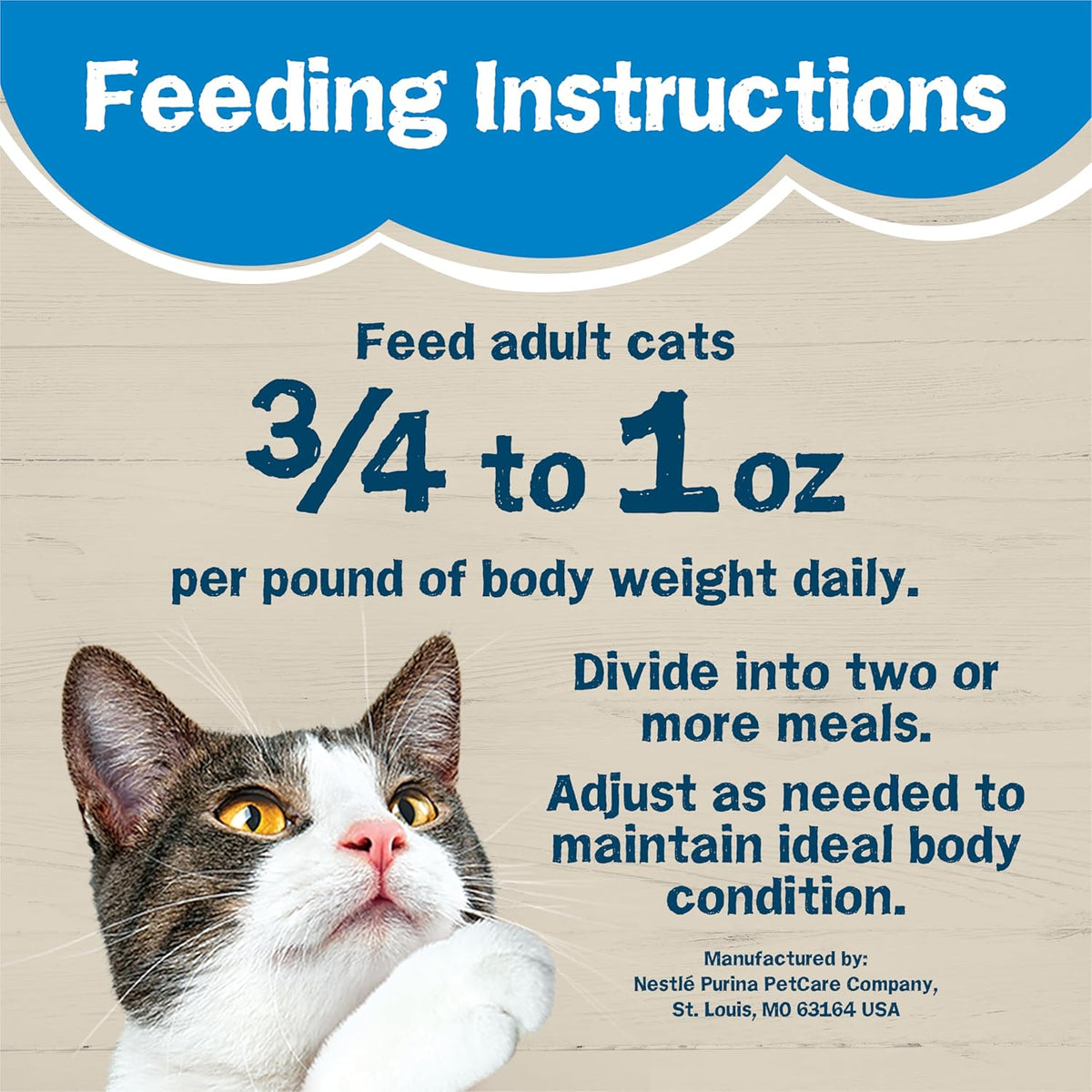 Purina Friskies Wet Cat Food Pate Ocean Favorites With Natural Salmon, Brown Rice and Peas - (Pack of 24) 5.5 oz. Cans