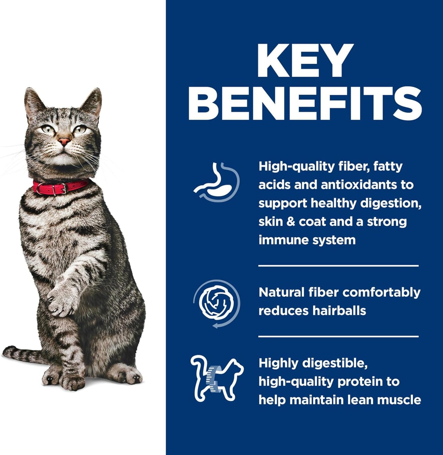 Hill's Science Diet Urinary Hairball Control