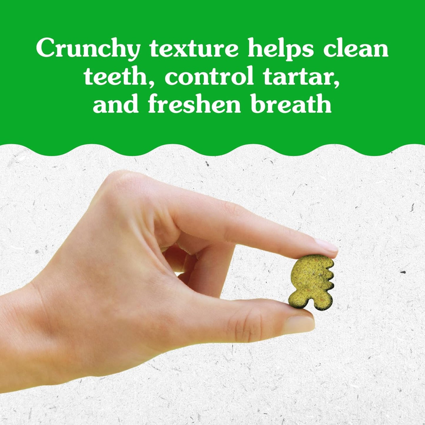 GREENIES Feline Dental Cat Treats