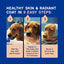 DOUXO® Skin & Coat SPA - Ultra-Safe Dog Shed Control Shampoo, 16 fl oz