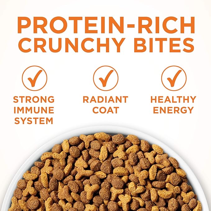 Purina ONE Natural, Weight Control Dry Cat Food & Wet Cat Food, Ideal Weight Bundle Pack