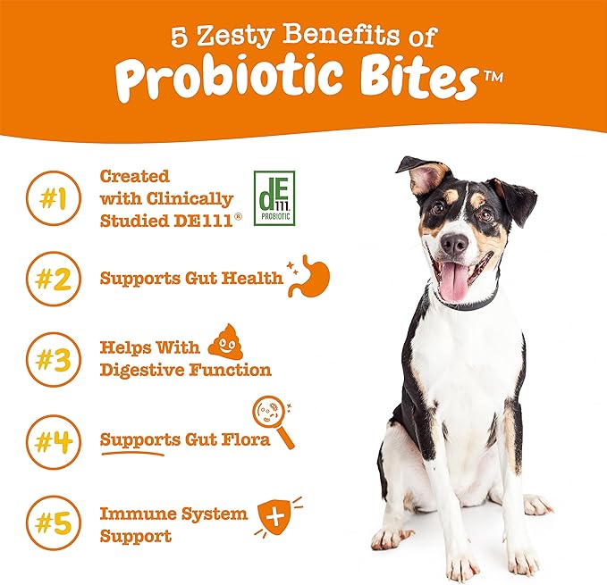 Zesty Paws Probiotics for Dogs - Probiotics for Gut Flora, Digestive Health, Occasional Diarrhea & Bowel Support - Clinically Studied DE111 -90ct