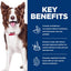 Hill's Science Diet Perfect Digestion, Adult 1-6, Digestive Support, Dry Dog Food, Salmon, Brown Rice, & Whole Oats, 3.5 lb Bag