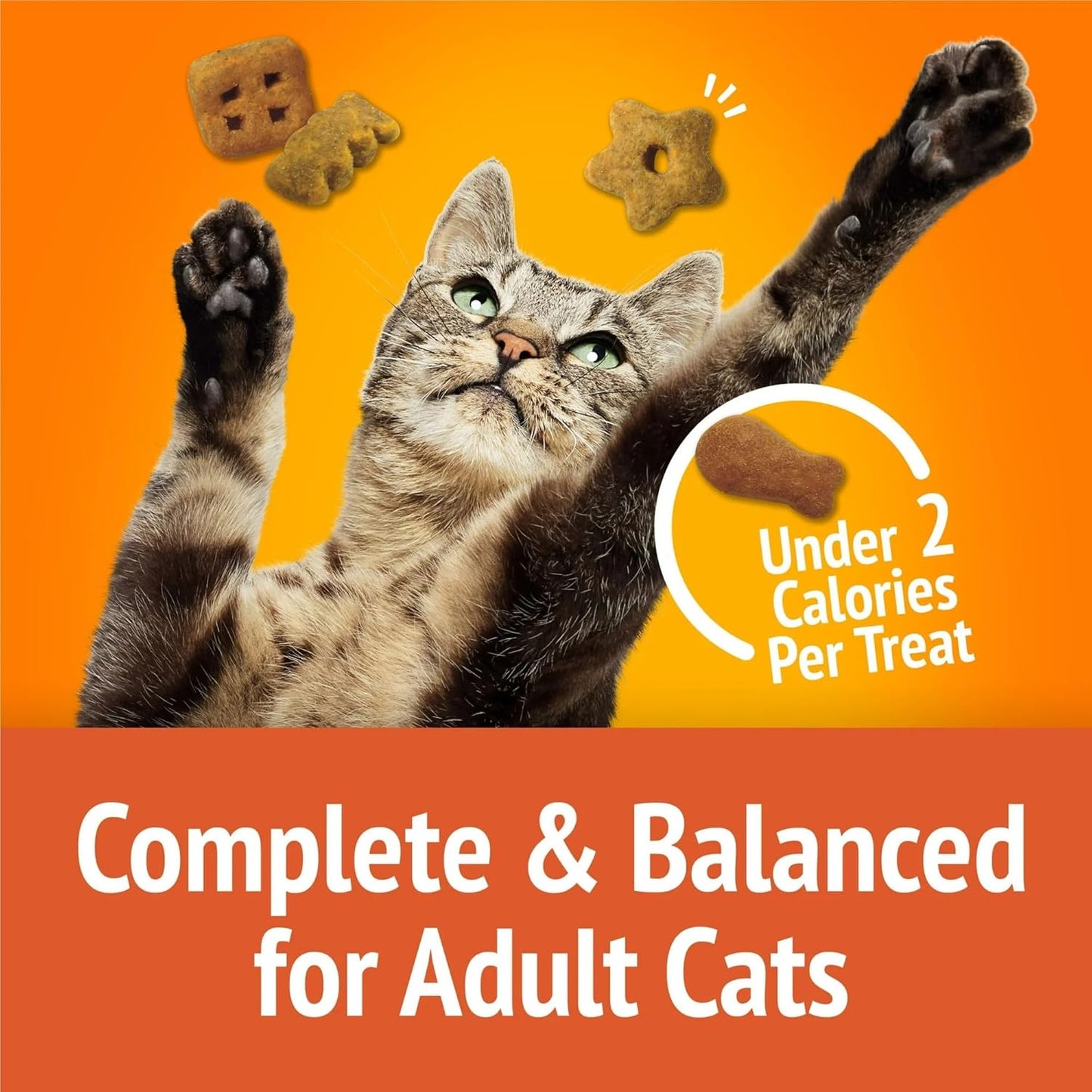 Cat Treats - With Chicken & Flavors of Liver & Turkey - 20 oz (Pack of 2)