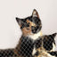 Cat Balcony Net Cat Anti-Fall Fence Net Dog Fence Nets Transparent Nylon Pet Mesh Fence Anti-Fall Netting for Balcony Window Stairs Netting for Balcony Window Stairs（1020ft, 10 * 20ft