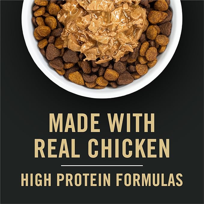 Purina Pro Plan Complete Essentials Chicken and Rice Formula Adult Dry Cat Food Bundle Complete Essentials Chicken Entrée High Protein Wet Cat Food, 2 Items