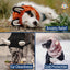 Zoo Snoods Dinosaur Costume - Warm Knit Dog Snood Wrap for Pets, Neck Ear Cover Protection, Halloween Winter (Small)