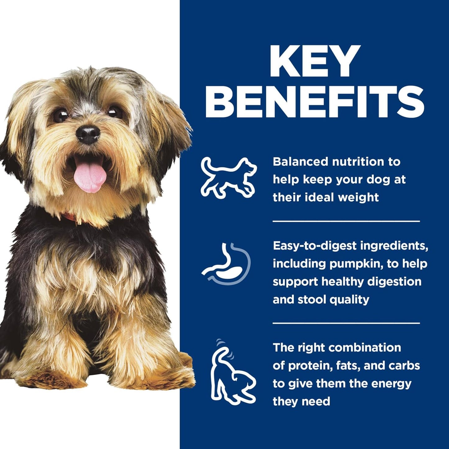 Hill's Science Diet Small & Mini, Adult 1-6, Small & Mini Breeds Premium Nutrition, Wet Dog Food, Variety Pack: Chicken & Vegetables; Salmon & Vegetables Stew, 3.5 oz Tray Variety Pack, Case of 12