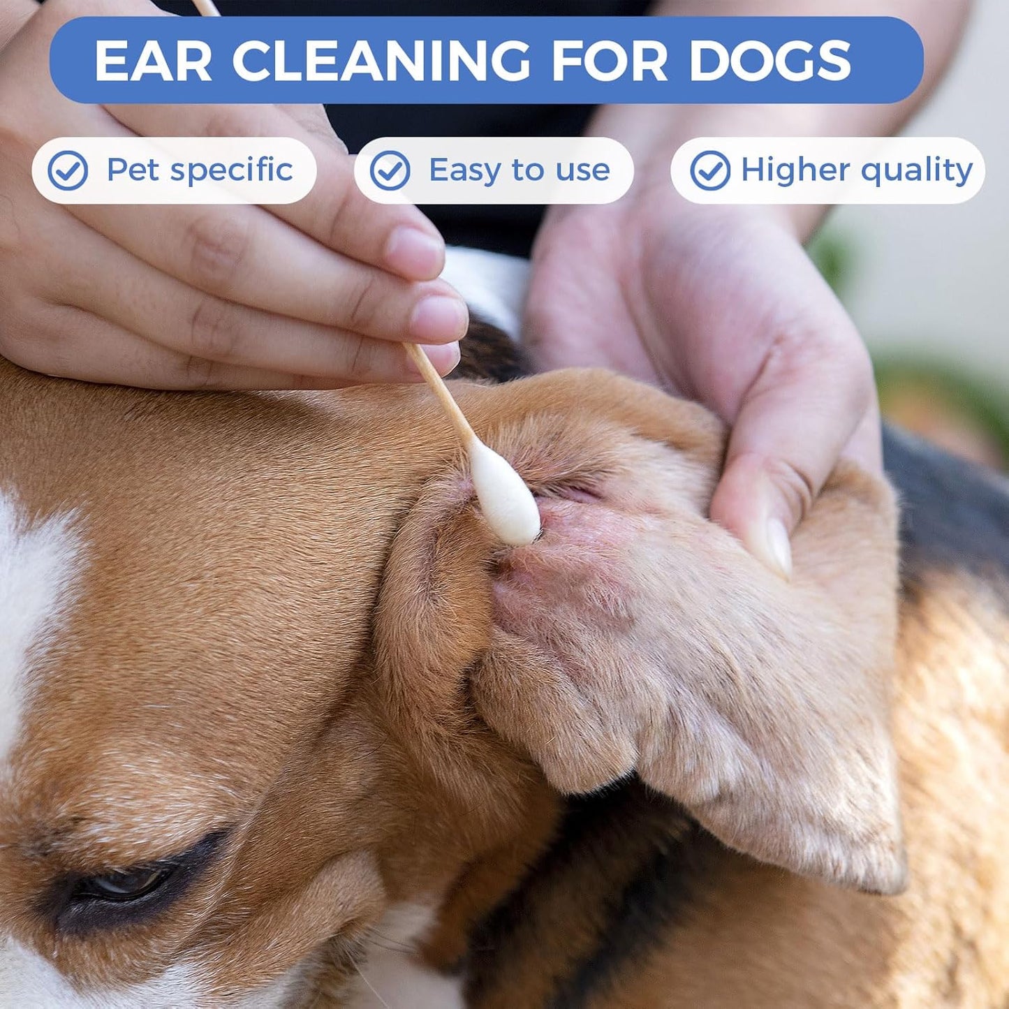 GOLD HONEY 6 Inch Large Cotton Swabs, 500PCS Dog Ear Swabs with Bamboo Handle for Dogs, Pet-Specific, Gentle Design, Lint-Free, Pet Cotton Stick Ear Cleaning