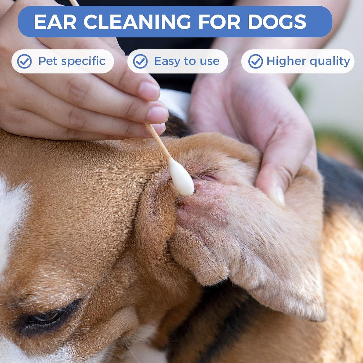 GOLD HONEY 6 Inch Large Cotton Swabs, 100PCS Dog Ear Swabs with Bamboo Handle for Dogs, Pet-Specific, Gentle Design, Lint-Free, Pet Cotton Stick Ear Cleaning