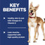 Hill's Science Diet Adult 1-6 Premium Nutrition Dry Dog Food, Salmon & Brown Rice, 33 lb. Bag