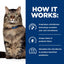 Hill's Prescription Diet Gastrointestinal Biome Stress Digestive/Fiber Care Wet Cat Food, Chicken & Vegetable Stew, 2.9 oz. Cans, 24-Pack