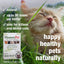 HomeoPet Feline Nose Relief, Safe and Natural Nasal and Sinus Medicine for Cats, Natural Pet Medicine, 15 Milliliters- Pack of 2