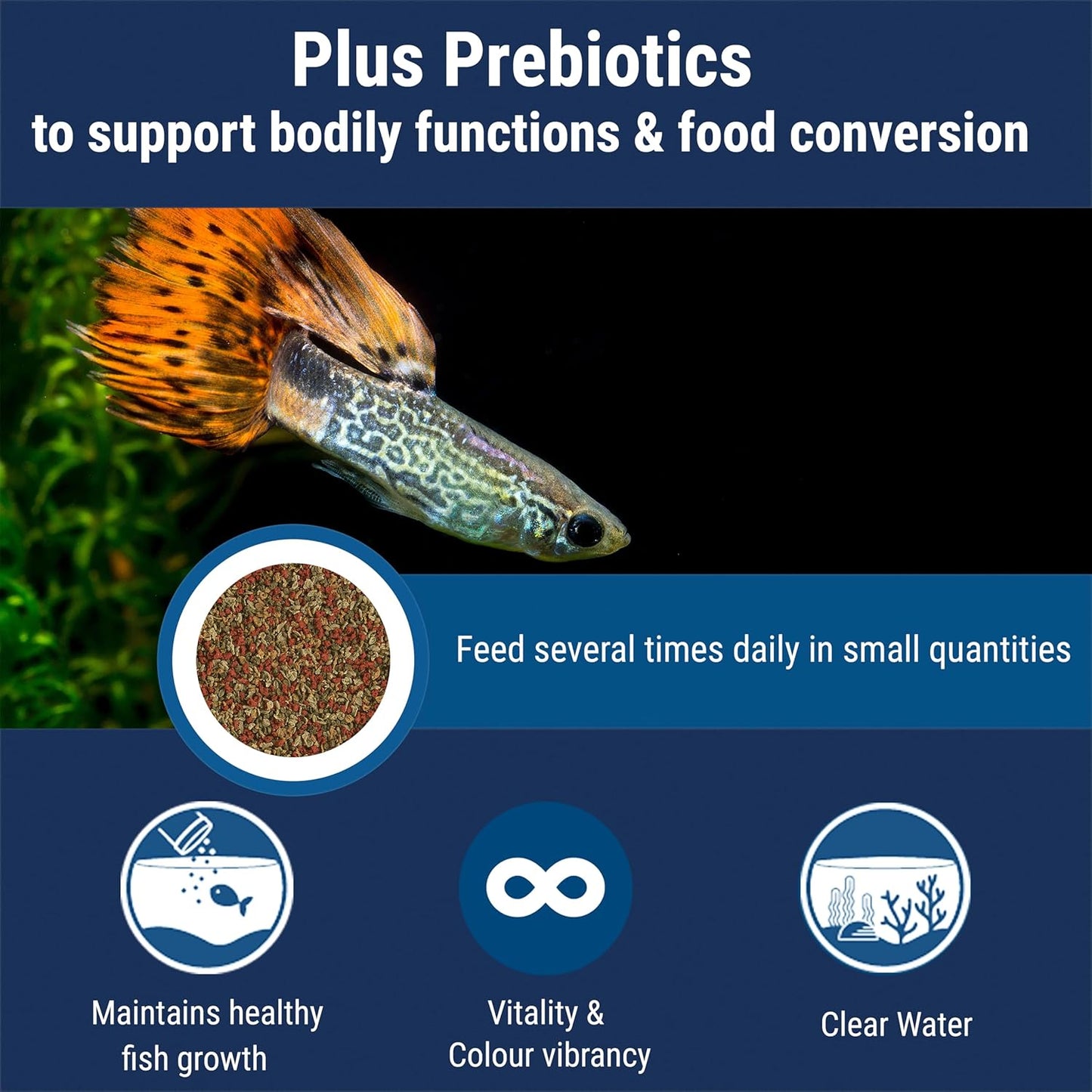 TetraMin Nutritionally Balanced Tropical Flake Food