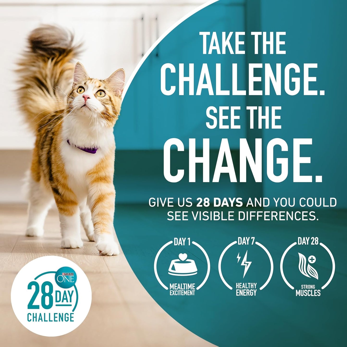 Purina ONE Sensitive Stomach, Sensitive Skin, Natural Dry Cat Food, +Plus Sensitive Skin and Stomach Formula - 16 lb. Bag