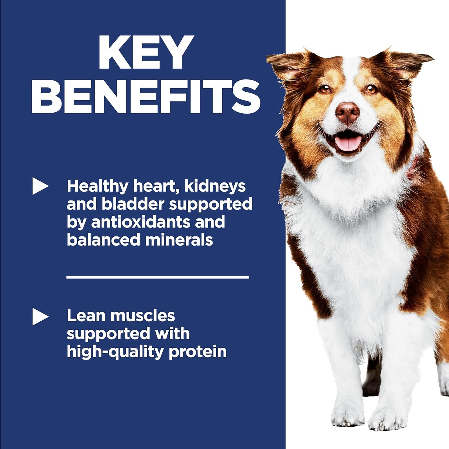 Hill's Science Diet Adult 7+, Senior Adult 7+ Premium Nutrition, Dry Dog Food, Chicken, Brown Rice, & Barley, 33 lb Bag