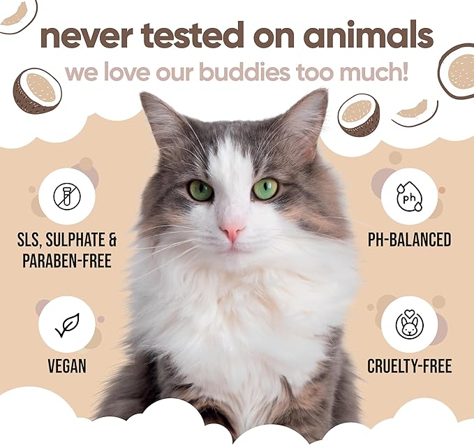 Coconut Cat Conditioner by Buddycare (16.90oz)