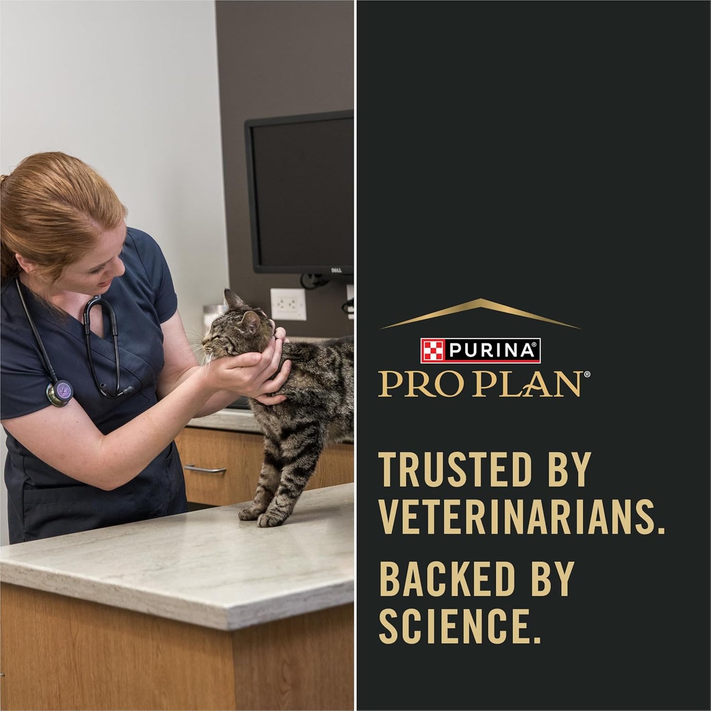 Purina Pro Plan Complete Essentials Chicken and Rice Formula Adult Dry Cat Food Bundle Complete Essentials Chicken Entrée High Protein Wet Cat Food, 2 Items