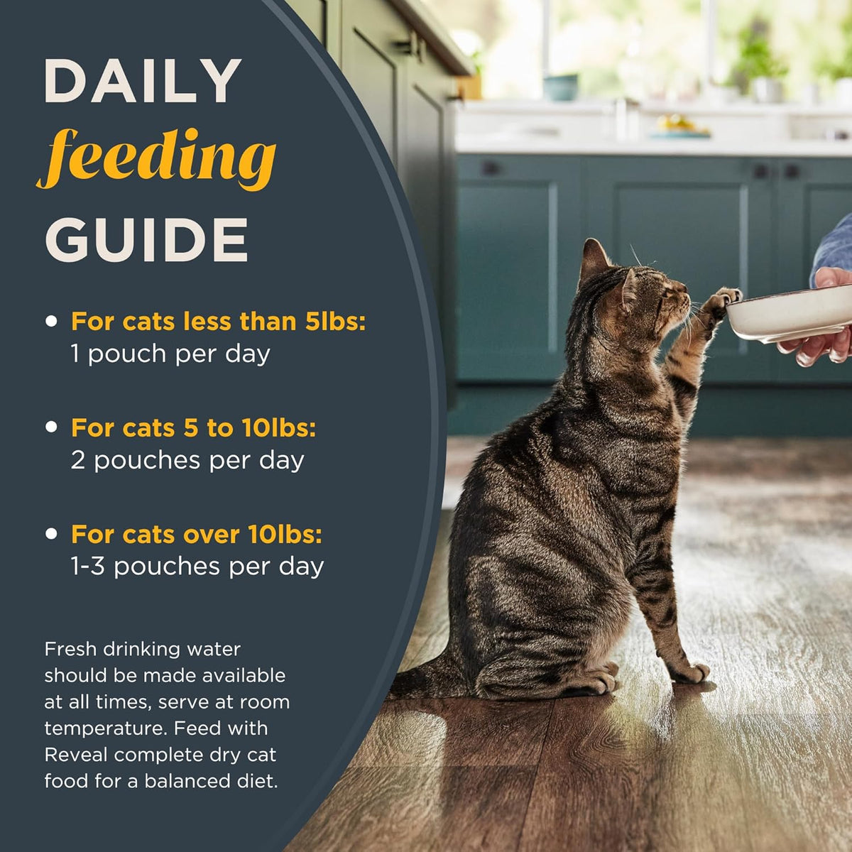 Reveal Natural Wet Cat Food, Limited and Natural Ingredients, Grain Free, High Protein with No Artificial Additives, Tuna Fillet with Shrimp in Broth (12 x 2.47 oz Pouches)