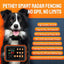 3-in-1 Radar Wireless Dog Fence System for 3 Dogs, Dog Training Collar with Fence & Forbidden Zone Modes, No GPS Indoor Outdoor Dog Containment, IPX7 Waterproof (1 Collar)