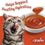 Purina Friskies Lil' Gravies Roasted Chicken Flavor Cat Food Lickable Cat Treats - (Pack of 16) 1.55 oz. Pouches