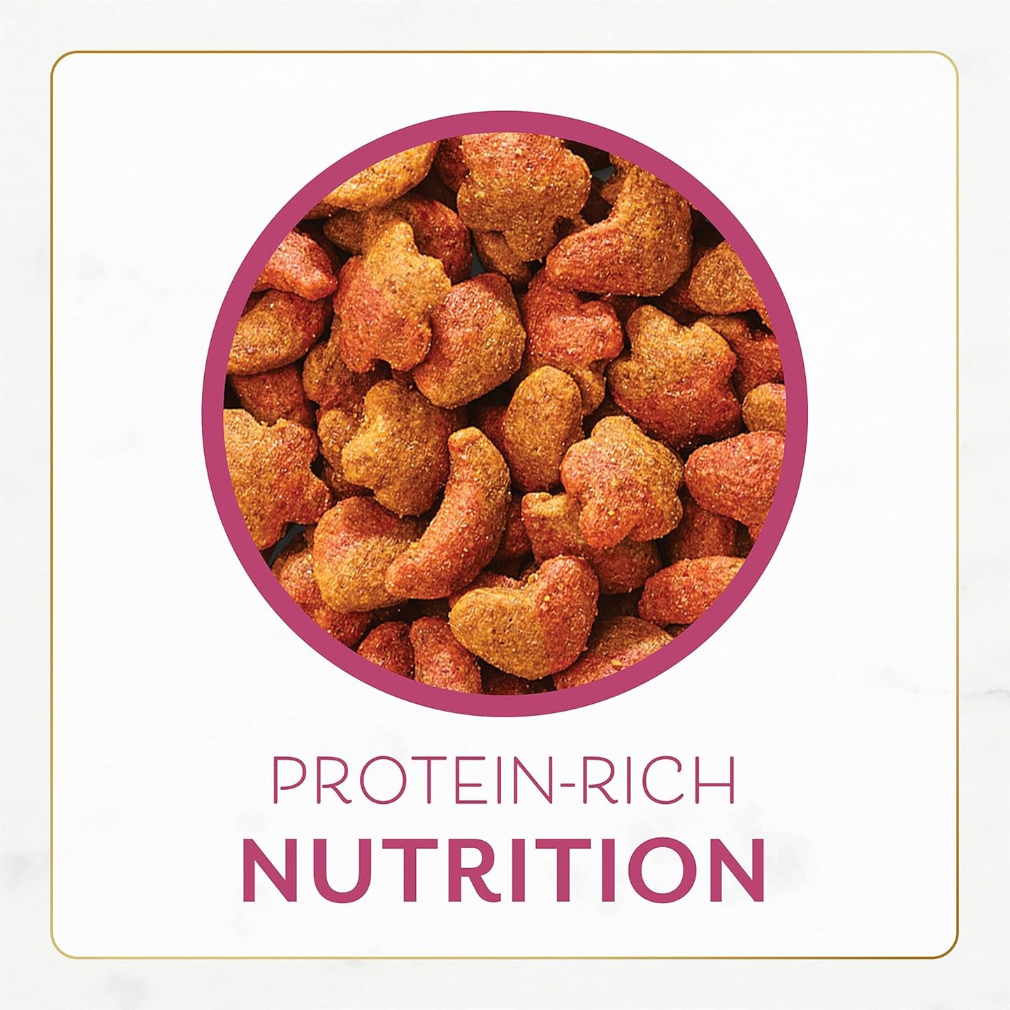 Purina Fancy Feast Dry Cat Food, Filet Mignon Flavor with Real Seafood & Shrimp, Gourmet Cat Food with Added Vitamins & Minerals, 16 OZ Resealable Bag (Pack of 1)