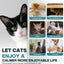 Cat Calming Pheromones Diffuser: 6-in-1 Kit Cat Appeasing Pheromone Diffuser to Calm (2 Plugin+4x48ml Refills) for Comfort Reduces Stress Anxiety, Long-Lasting Appeasing Pheromone for Pet Cat (6in1)