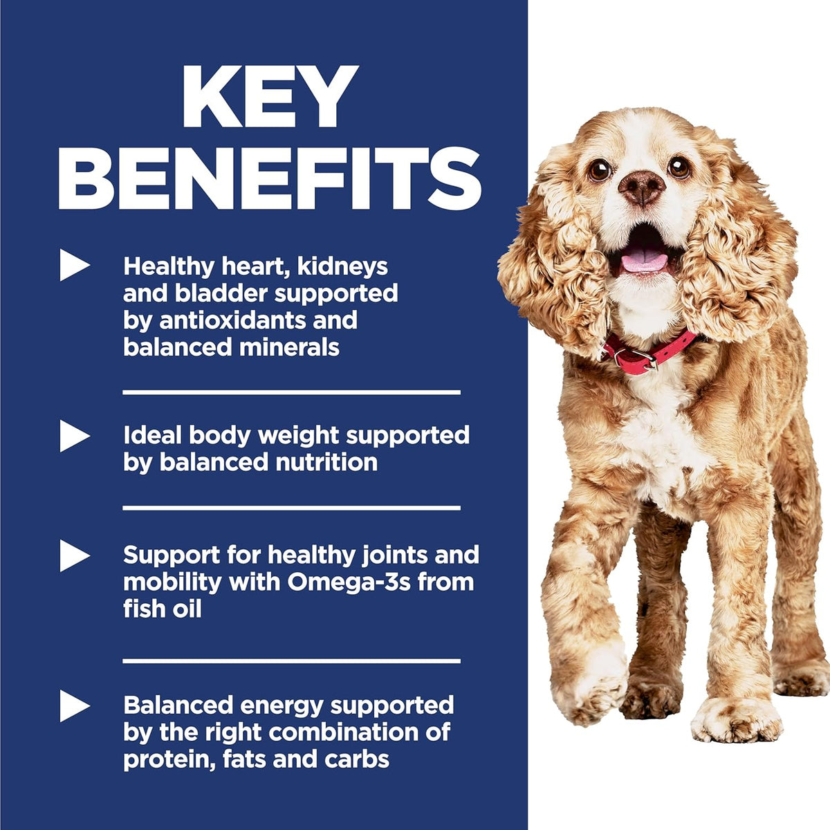 Hill's Science Diet Small & Mini, Senior Adult 11+, Small & Mini Breeds Senior Premium Nutrition, Dry Dog Food, Chicken, Brown Rice & Barley, 15.5 lb Bag
