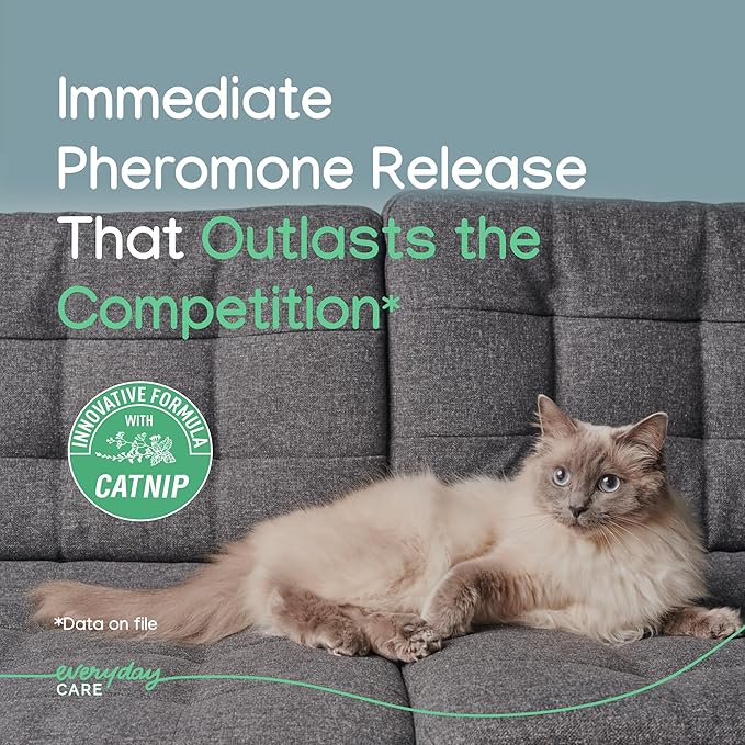 Virbac ZENIFEL™ Gel Diffuser | Managing Stress-Related Behaviors in Kittens & Cats