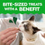 Greenies Cat Treats, Feline Smartbites, Skin & Fur Health, Crunchy and Soft Cat Treats, Salmon Flavor, 2.1 oz. Pack