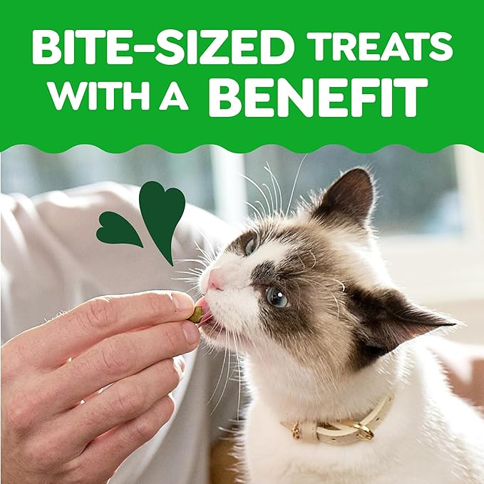 Greenies Cat Treats, Feline Smartbites, Skin & Fur Health, Crunchy and Soft Cat Treats, Salmon Flavor, 2.1 oz. Pack