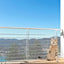 Shappy Balcony Net for Pets 16.5 ft x 2.5 ft Anti Fall Cat Dogs Netting Balcony (White)