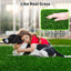 Grass Pad for Dogs 33 x 33 inches, Strong Absorbency Soft and Realistic Grass for Pets Potty Training, Easy to Clean, Indoor Outdoor Use (1 Pack)