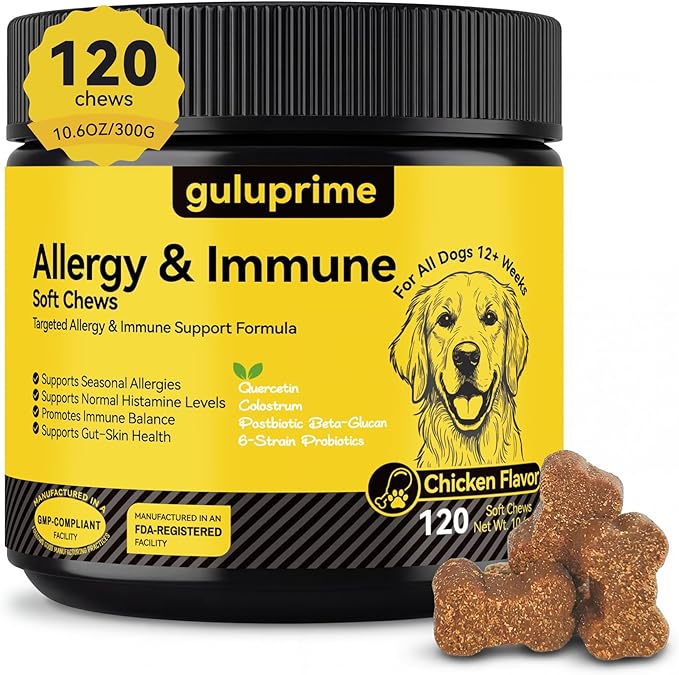 Dog Allergy & Itch Relief Bundle – Immune Support & Skin Comfort for Dogs