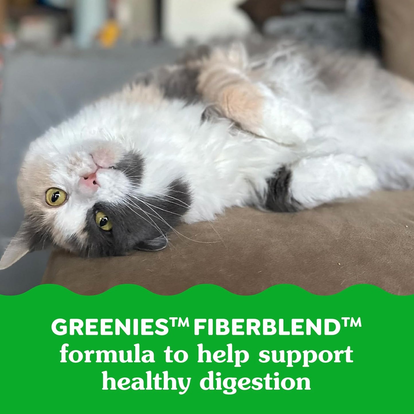 Greenies Feline Smartbites,Cat Treats Healthy Recipe,Indoor Cat Treats,Chicken Flavor,4.6 oz,(Pack of 2)