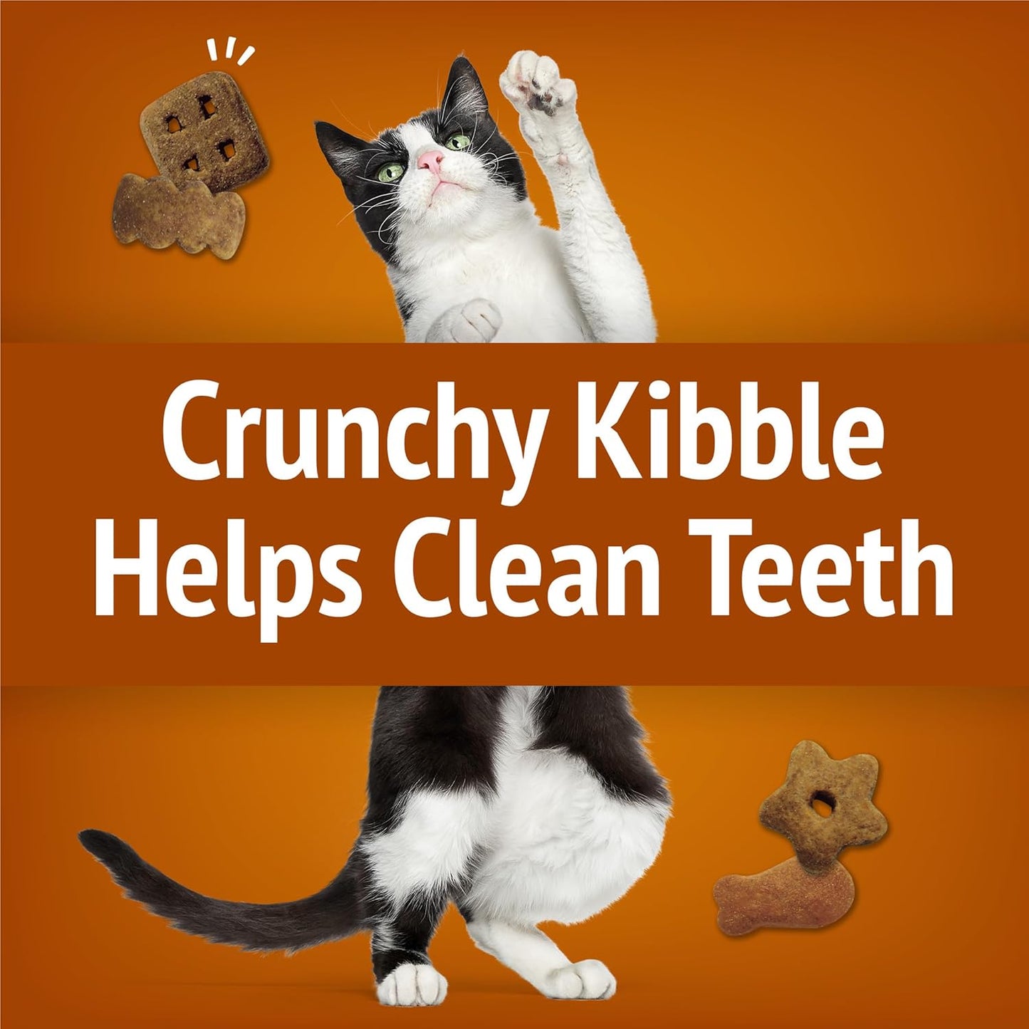 Purina Friskies Cat Treats, Party Mix Chicken Lovers Crunch - 20 oz. Canister