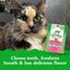GREENIES Feline Dental Cat Treats