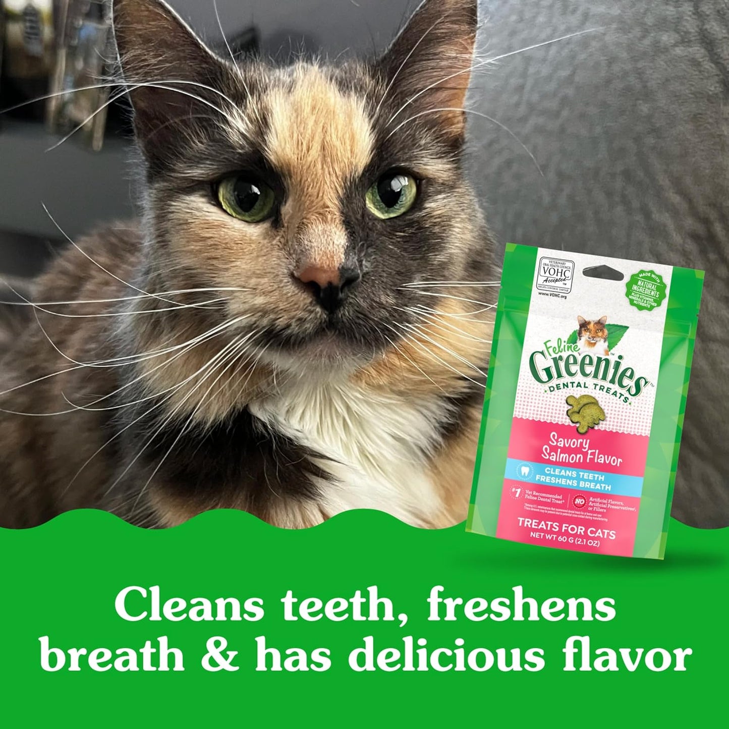 GREENIES Feline Dental Cat Treats