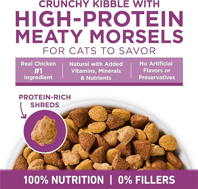 Purina ONE Plus Whole Body Support with Chicken Dry Cat Food - 3.5 lb. Bag