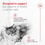 Royal Canin Feline Health Nutrition Aging 11+ Wet Cat Food, for Cats Over 11 Years, Supports Optimal Health & Vitality, 5.1 oz can, case of 24