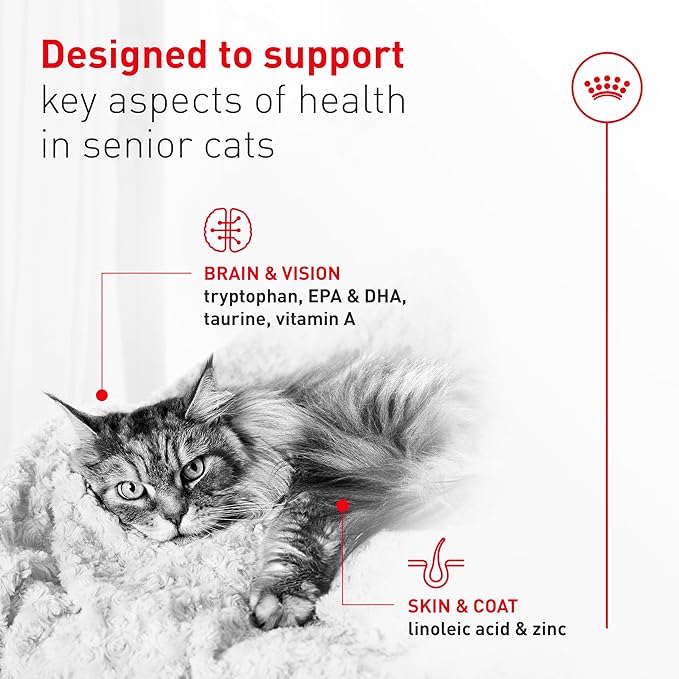 Royal Canin Feline Health Nutrition Aging 11+ Wet Cat Food, for Cats Over 11 Years, Supports Optimal Health & Vitality, 5.1 oz can, case of 24