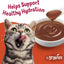 Purina Friskies Lil' Gravies Roast Beef Flavor Cat Food Complement Lickable Cat Treats - (Pack of 16) 1.55 oz. Pouches