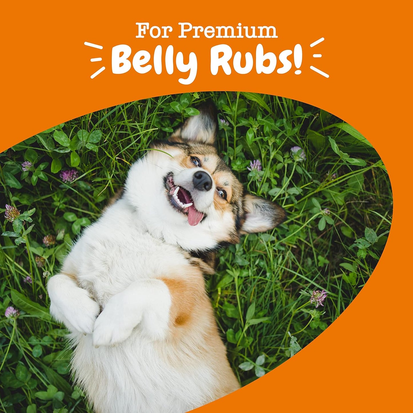 Zesty Paws Probiotics for Dogs - Probiotics for Gut Flora, Digestive Health, Occasional Diarrhea & Bowel Support - Clinically Studied DE111 -90ct