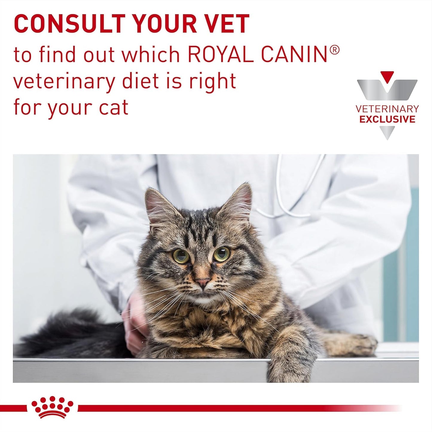Royal Canin Veterinary Diet Feline Gastrointestinal Moderate Calorie Adult Thin Slices in Gravy Cat Food, 3 oz (Pack of 24)