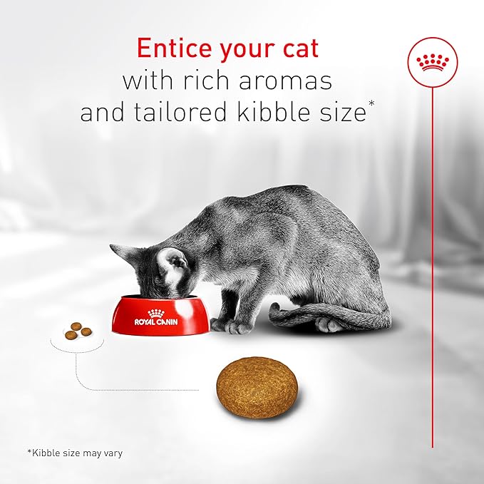 Royal Canin Fussy Dry Cat Food for Adult Cats, Protein-Rich Kibbles for Picky Eaters, Poultry-Based, Supports Healthy Weight and Urinary Health, 7 lb Bag