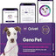 ORIVET Dog DNA Test Kit – Comprehensive Dog DNA Test Kit for Over 330+ Breed Identification