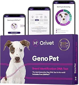 ORIVET Dog DNA Test Kit – Comprehensive Dog DNA Test Kit for Over 330+ Breed Identification