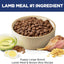 Hill's Science Diet Large Breed Puppy Food, DHA to Support Healthy Development, Lamb & Brown Rice Dry Dog Food, 30 lb. Bag