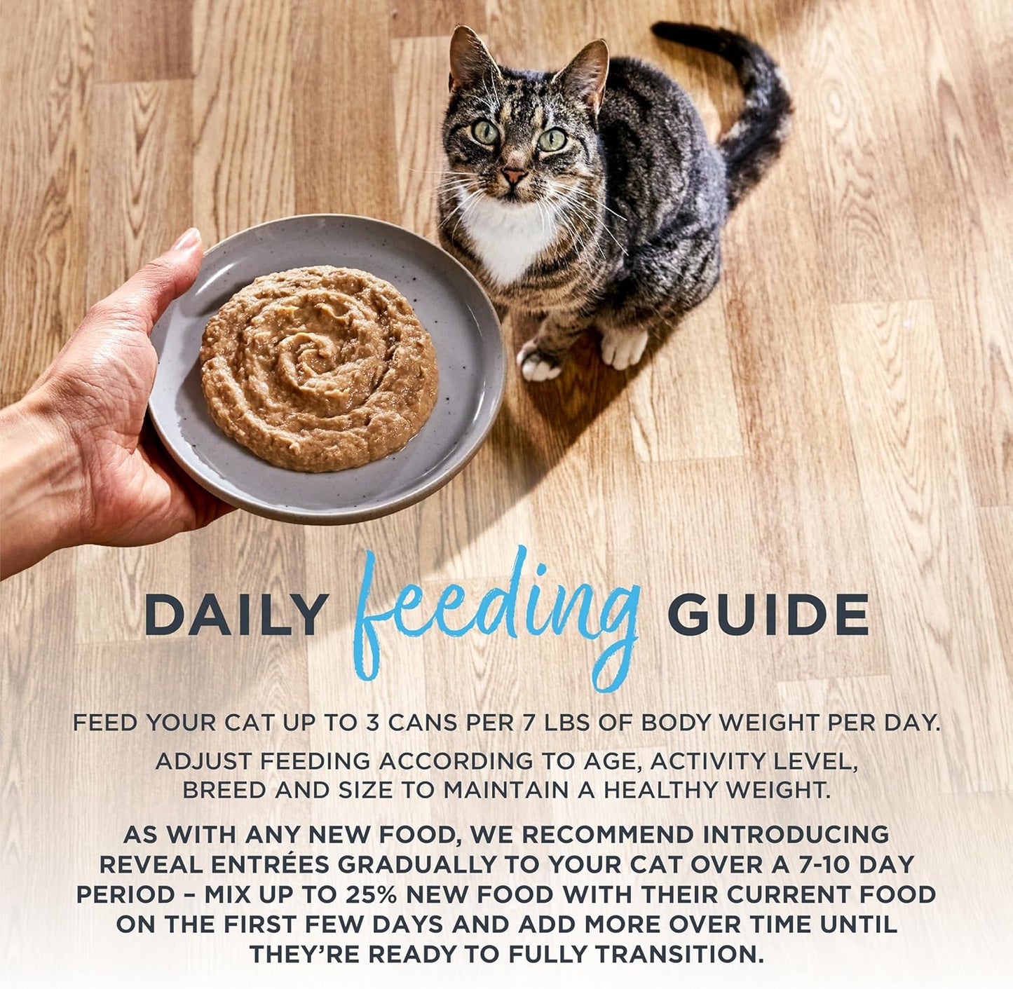 Reveal Entrées Natural Wet Cat Food Paté, Grain-Free with Added Vitamins & Minerals, Carrageenan-Free and High Protein, Variety Selection in Pate (20 x 2.47 oz cans)