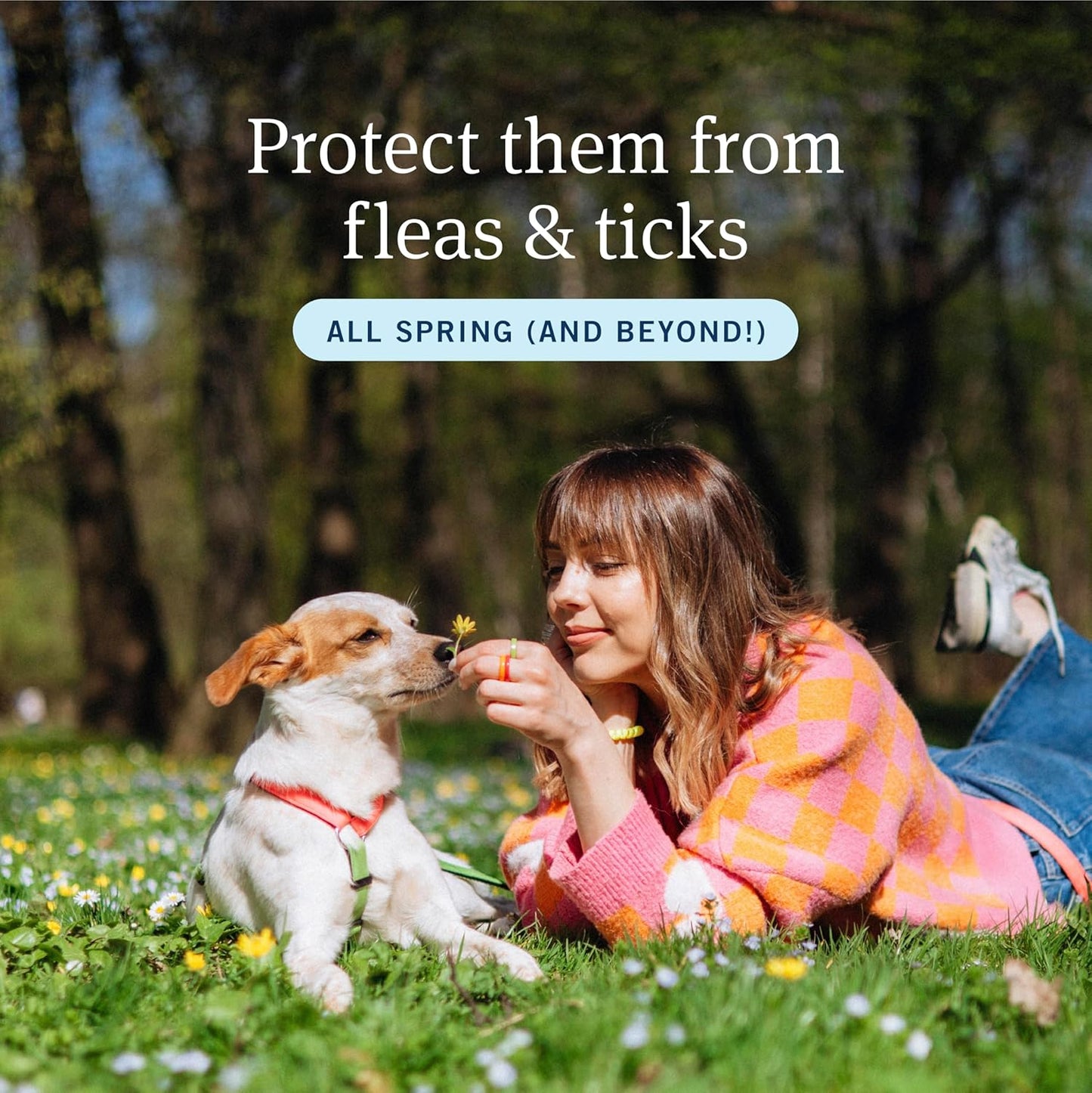 PetArmor Plus Flea and Tick Prevention for Dogs, Medium Dog Flea and Tick Treatment, 6 Doses, Waterproof Topical, Fast Acting (23-44 lbs)